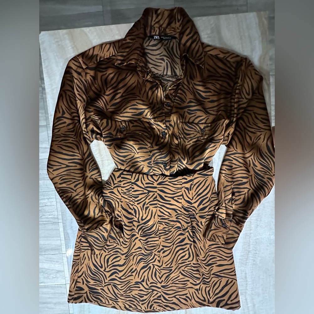 Zara shirt and skirt set- super cute never worn!